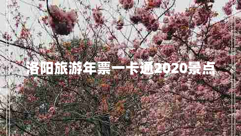 洛陽旅游年票一卡通2020景點(diǎn)