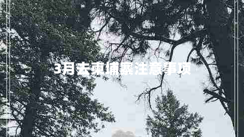 3月去柬埔寨注意事項(xiàng)