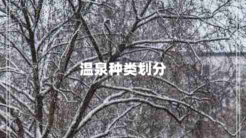 溫泉種類劃分