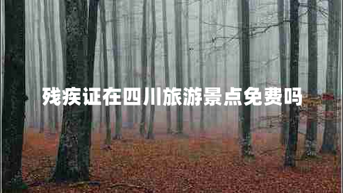 殘疾證在四川旅游景點免費(fèi)嗎