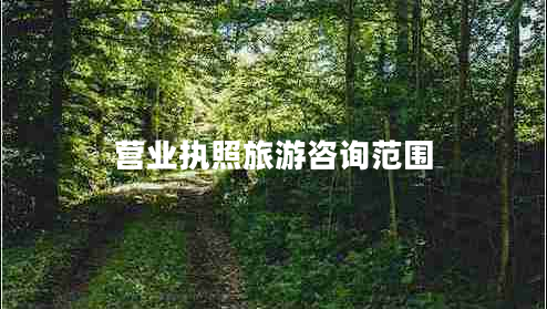 營業(yè)執(zhí)照旅游咨詢范圍