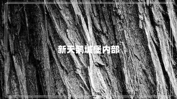 新天鵝城堡內(nèi)部