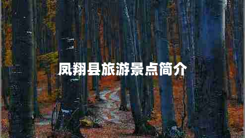 鳳翔縣旅游景點(diǎn)簡介