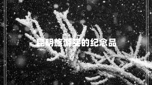 昆明旅游買的紀(jì)念品