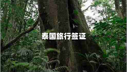 泰國(guó)旅行簽證