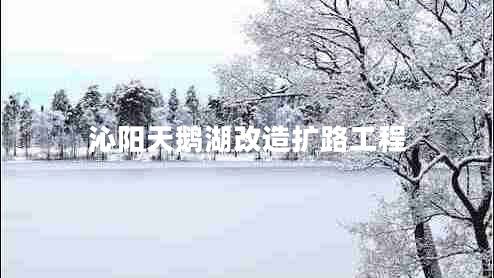 沁陽天鵝湖改造擴(kuò)路工程
