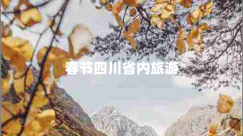 春節(jié)四川省內旅游