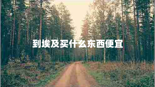 到埃及買什么東西便宜