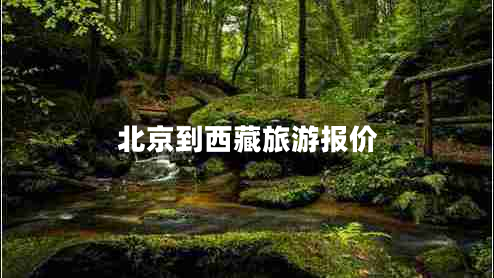 北京到西藏旅游報價