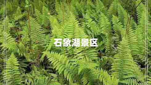 石象湖景區(qū)