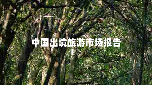 中國出境旅游市場報(bào)告