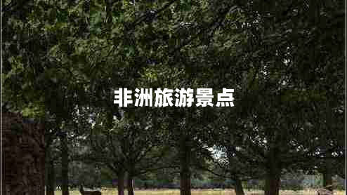 非洲旅游景點