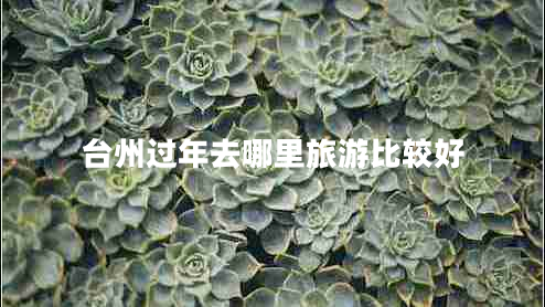臺(tái)州過(guò)年去哪里旅游比較好