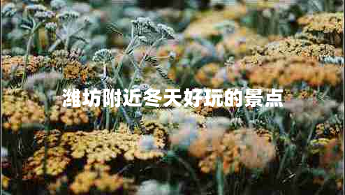 濰坊附近冬天好玩的景點