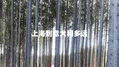 上海到意大利多遠(yuǎn)