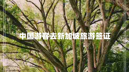 中國(guó)游客去新加坡旅游簽證