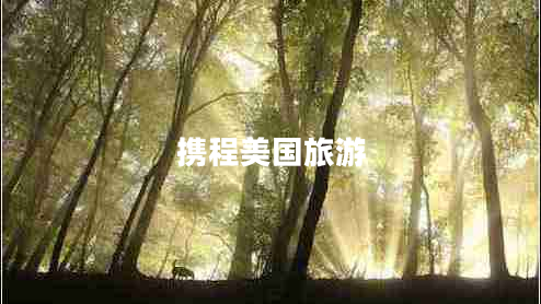 攜程美國(guó)旅游