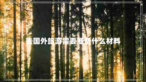 去國外旅游需要準(zhǔn)備什么材料