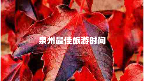 泉州最佳旅游時間