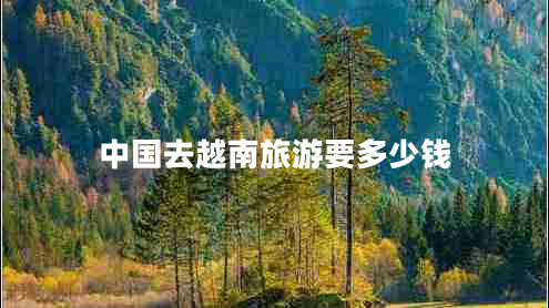 中國(guó)去越南旅游要多少錢