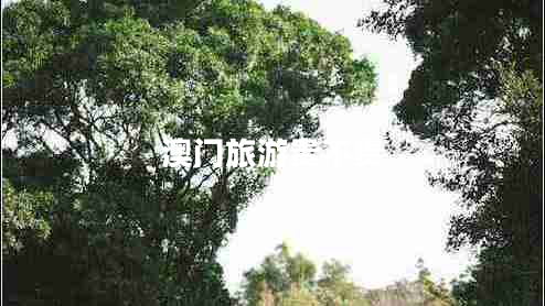 澳門旅游貴不貴