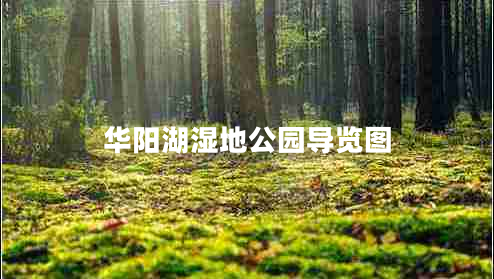 華陽(yáng)湖濕地公園導(dǎo)覽圖