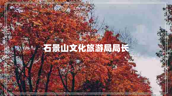 石景山文化旅游局局長