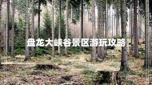 盤(pán)龍大峽谷景區(qū)游玩攻略
