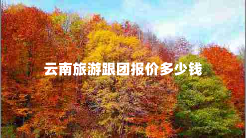 云南旅游跟團(tuán)報(bào)價(jià)多少錢(qián)