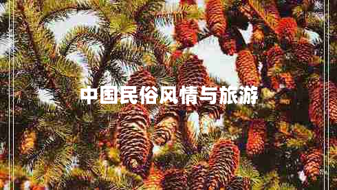 中國民俗風情與旅游