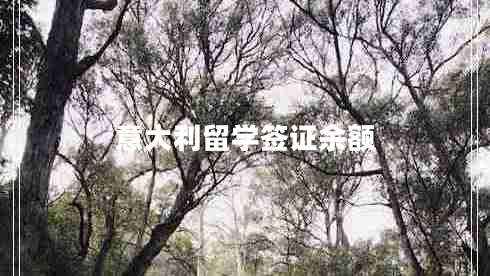 意大利留學簽證余額