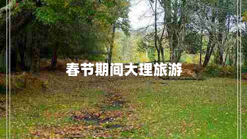 春節(jié)期間大理旅游