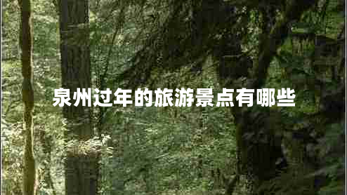 泉州過年的旅游景點(diǎn)有哪些