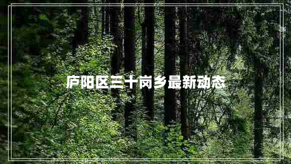 廬陽區(qū)三十崗鄉(xiāng)最新動態(tài)