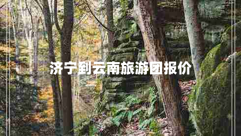 濟寧到云南旅游團報價