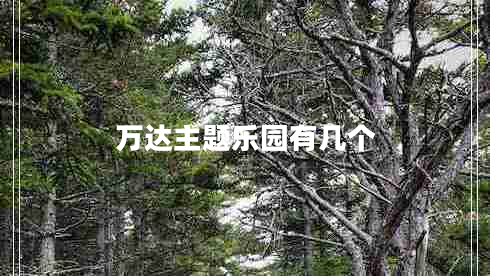 萬達主題樂園有幾個