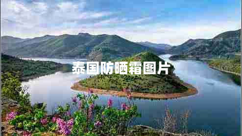 泰國(guó)防曬霜圖片