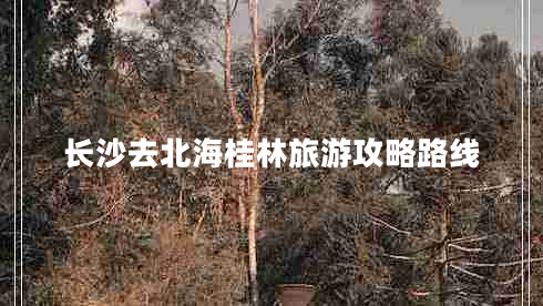 長沙去北海桂林旅游攻略路線