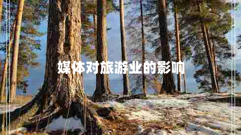 媒體對(duì)旅游業(yè)的影響