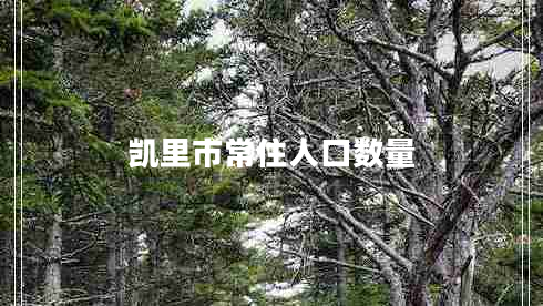 凱里市常住人口數(shù)量