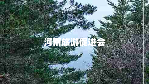 河南旅游促進(jìn)會(huì)