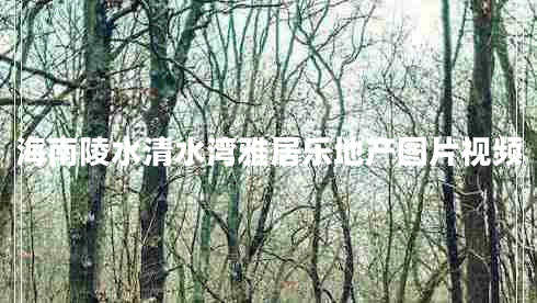 海南陵水清水灣雅居樂地產圖片視頻