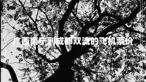 廣西南寧到成都雙流的飛機(jī)票價