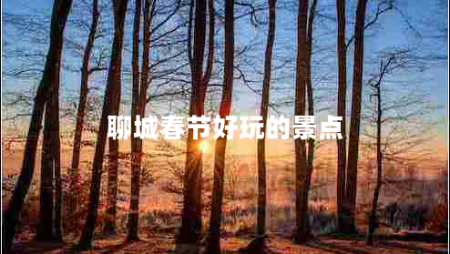 聊城春節(jié)好玩的景點
