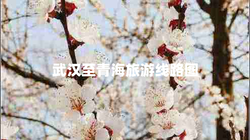 武漢至青海旅游線路圖