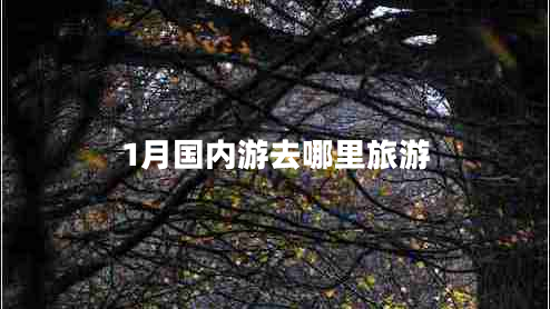 1月國(guó)內(nèi)游去哪里旅游