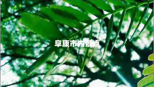 阜康市內(nèi)景點