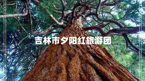 吉林市夕陽紅旅游團(tuán)