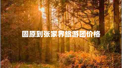 固原到張家界旅游團價格