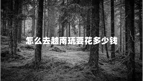 怎么去越南玩要花多少錢